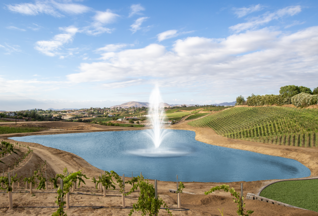 lake at Mount Palomar Winery